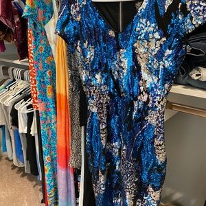 Sequined Cache dress